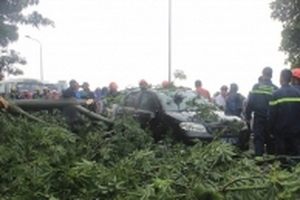 Ảnh hưởng bão số 10: Đã có 2 người chết và mất tích ở Huế