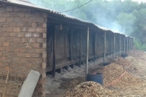 Dân vây cơ sở chế biến cau ô nhiễm, công nhân bỏ chạy vào rừng