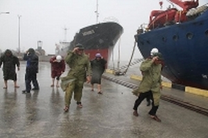 Năm người chết, 1,3 triệu dân mất điện do bão