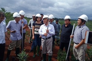 Lienviet Postbank Việt Nam tài trợ cho việc trồng mắc ca ở Gia Lai 4,3 tỷ đồng