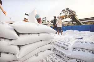 Gạo 'phất lên' nhờ tín hiệu thị trường nhập khẩu