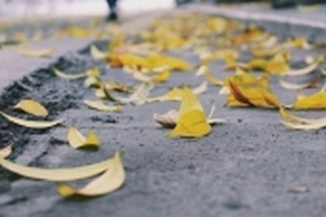 Mùa thu Hà Nội và 'con đường xưa em đi': Những điểm chụp ảnh lãng mạn nhất trong thành phố