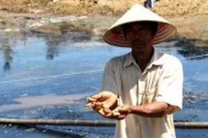 Hàng chục tấn tôm chết trắng sau bão, người dân bất lực vớt cho lợn ăn