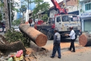 Mưa đêm, sấm chớp nhiều có bất thường?