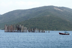 Bộ Giao thông: Vinalines có loạt dự án yếu kém, thua lỗ