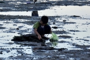 Nhọc nhằn nghề ‘ăn mót’ trên vịnh Cam Ranh