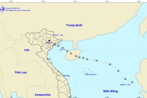 Mưa lớn và gió mạnh lan rộng toàn Bắc Bộ vì áp thấp nhiệt đới