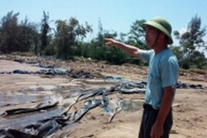 Báo cáo Thủ tướng, Thanh Hóa ước tính thiệt hại 980 tỷ đồng do bão