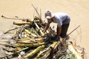 Người dân bỏ việc, lội suối mò tìm bé trai 11 tuổi bị cuốn vào cống mất tích