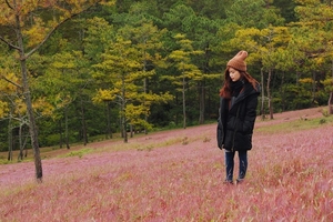 HOT: Mùa hội cỏ hồng sắp được tổ chức lần đầu tiên tại Đà Lạt