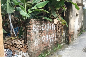 Đất thổ cư phía Đông Hà Nội 'lên cơn sốt' sau tin xây 4 cây cầu