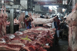 Giá heo hơi hôm nay (2/10) giảm nhẹ 250 – 500 đồng/kg vì đầu ra vẫn khó