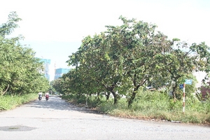 Kẻ khóc người cười vì cơn sốt đất ăn theo hạ tầng