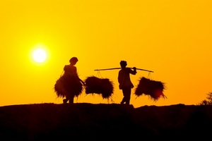 Thoái nốt 25% vốn tại Lộc trời, Mekong Capital thu về 79 triệu USD sau 9 tháng đầu năm