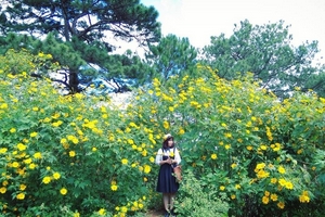 Du lịch tháng 10 với những điểm đến đẹp nao lòng