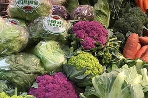 Rau quả Việt đắt gấp đôi Ba Lan