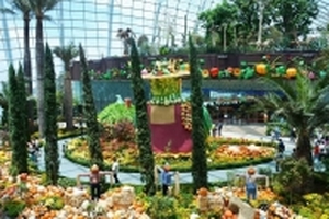 Mẹ share: Trải nghiệm thú vị cho trẻ nhỏ về Khoa học và Công nghệ ở Singapore