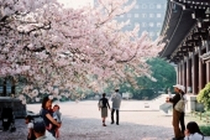 Chuyến đi thăm thành phố người Nhật thấy dễ sống, du khách thấy 'dễ thương'