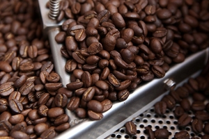 Thị trường cà phê Việt Nam, Indonesia vẫn giữ nhịp chậm chạp