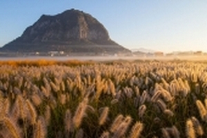 9 bức hình có sức mạnh 'kéo' du khách đến với Hàn Quốc