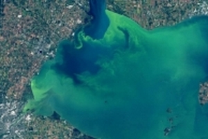Hồ nước tại Mỹ bất ngờ chuyển xanh ngọc đẹp mắt...vì ô nhiễm