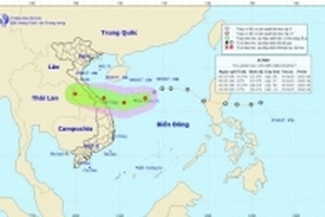 Dự báo thời tiết ngày 9/10: Tối nay áp thấp nhiệt đới đổ bộ, miền Trung có mưa rất to