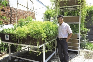 Tạm bỏ nghề kiến trúc sư đi trồng rau sạch cho học sinh tham quan