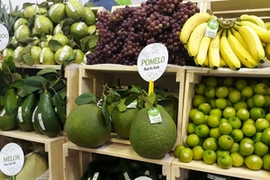 EU - Thị trường tiềm năng cho xuất khẩu rau quả Việt Nam