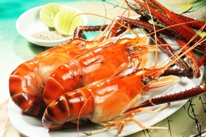 Lợi nhuận kỷ lục năm 2017, Sao Ta dự kiến đưa nhà máy Tin An hoạt động trong 2018