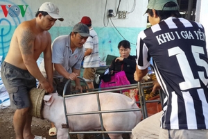 Giá lợn hơi tại Đồng Nai bị ảnh hưởng sau vụ đóng cửa lò mổ Xuyên Á