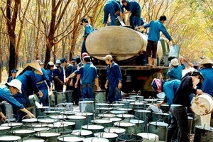 Cao su Phước Hòa 9 tháng lãi 284 tỷ đồng, gấp đôi cùng kỳ