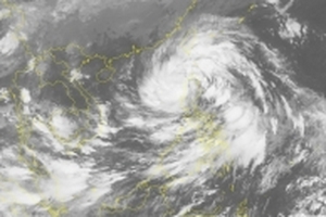 Bão số 11 dự báo mạnh tương đương bão số 10 đang tăng tốc tiến sâu vào biển Đông