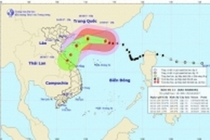 Bão số 11 đang giật cấp 16, từ đêm nay đất liền có mưa rất to
