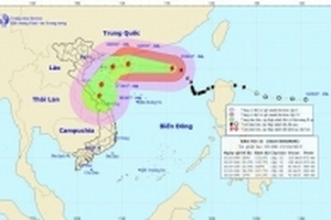 Bão số 11 bất ngờ bẻ hướng, có thể đổ bộ Quảng Trị - Đà Nẵng