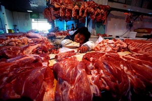 Giá heo hơi hôm nay (15/10): Hộ chăn nuôi nhỏ lẻ chật vật để tồn tại