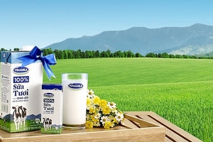 Sau Bò sữa Thanh Hóa, Vinamilk tiếp tục thâu tóm Đường Khánh Hòa