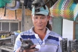 Anh nông dân trồng hoa và bí quyết nuôi cầy hương cho thu nhập trên 300 triệu đồng/năm