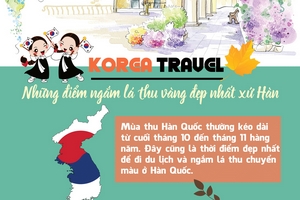 Những điểm ngắm lá thu vàng đẹp nhất xứ Hàn