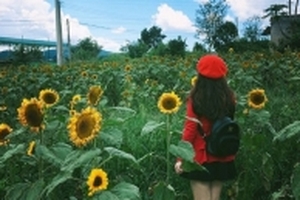 'Khi ta trẻ': Nhật ký xem chơi vui hết nấc cho 6 ngày 5 đêm ở Đà Lạt