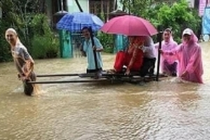 Cộng đồng mạng 'dậy sóng' với hình ảnh cô dâu chú rể được kéo xe bò trong mưa lũ ở Quảng Nam