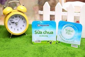 Kiểm toán lưu ý gần 114 tỷ đồng hàng tồn kho của Hanoimilk