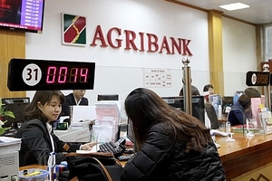 Agribank thu giữ hàng loạt tài sản của CTCP Tư vấn Đầu tư Xây dựng Lạc Việt