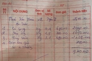 Chuyển công an làm rõ thông tin tàu du lịch 'chặt chém' bữa ăn của 9 người hết 9 triệu đồng