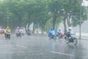 Dự báo thời tiết ngày 15/11: Nhiều vùng có mưa