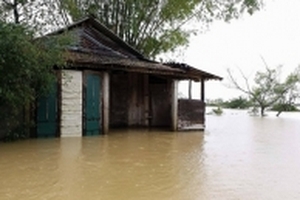 Gần 8.000 ngôi nhà ngập sâu trong mưa lũ, giao thông chia cắt