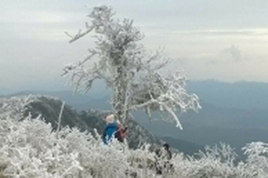 Lãnh đạo huyện Mộc Châu bác bỏ thông tin có hiện tượng băng giá trên địa bàn