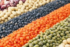 Cà phê là nông sản chính duy nhất có xuất khẩu giảm trong 11 tháng đầu năm 2017