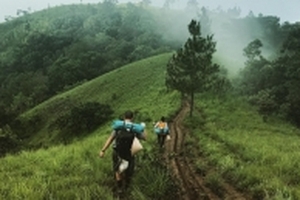 Tà Năng - Phan Dũng: Nghe tiếng thông reo và ngắm nhìn hoa gạo khoe sắc đỏ