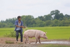 Lương Mạnh Hải kể chuyện ăn gián, bị heo nọc dẫm lên chân mà không dám kêu ca
