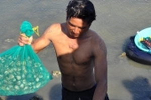 Thanh niên Raglai dùng que sắt bắt sò trên vịnh Cam Ranh